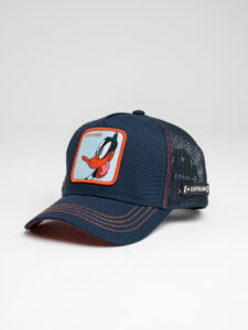 CAPSLAB Cappellino Looney Tunes patch azzurra DAFFY DUCK blu (1)
