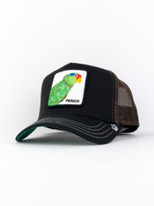 GOORIN BROS Cappellino nero con patch bianca stampa Pappagallo PERICO Nero1