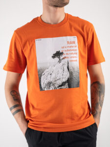 ONLY&SONS T-shirt con stampa frontale natura PAUL 22025271 Koi1