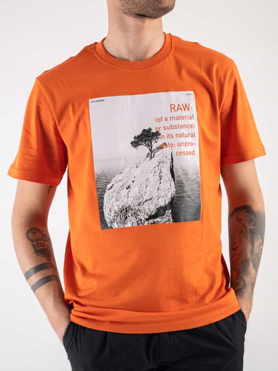 ONLY&SONS T-shirt con stampa frontale natura PAUL 22025271 Koi