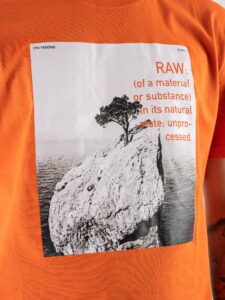 ONLY&SONS T-shirt con stampa frontale natura PAUL 22025271 Koi2