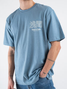 ONLY&SONS T-shirt con stampa sul retro MOUNTAIN 22033553 Spring Lake (5)