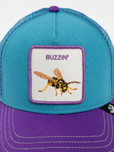 GOORIN BROS Cappellino petrolio con visiera viola e patch bianca con stampa ape BUZZIN (2)
