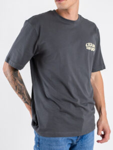 ONLY&SONS T-shirt over con stampa chase fronteretro TRISTAN 22035827 Grey Pinstripe (2)