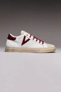 bordo 6