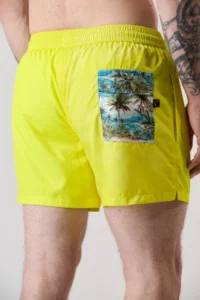 costiume v2 fluo4