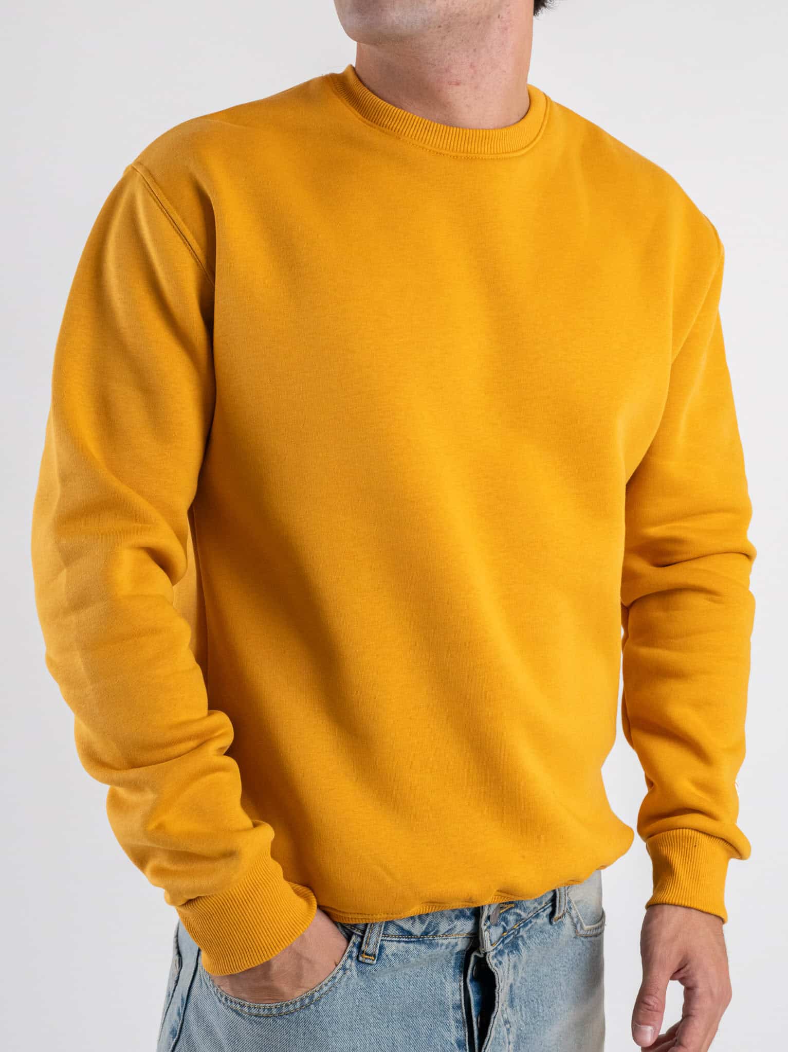 BERNA Felpa girocollo felpata con logo sulla manica 252020 Senape