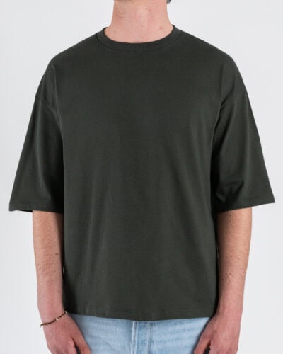 ESTASI T-shirt regular box fit TERRA Salvia